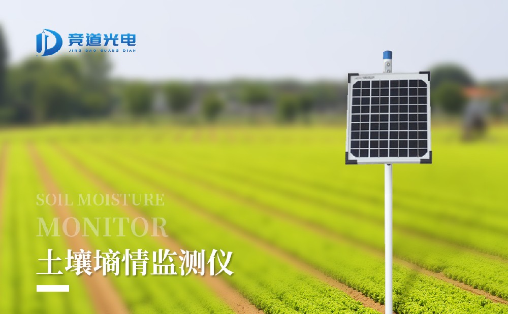 ��ʽ����������վ���ļ��������������ʲô����