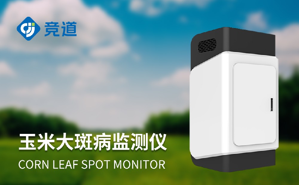 ���״�߲������