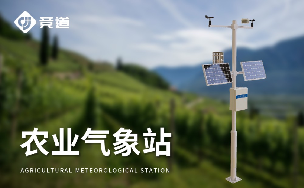 ũҵ����վ����ô��������