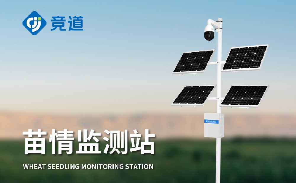 ֲ��ɳ������