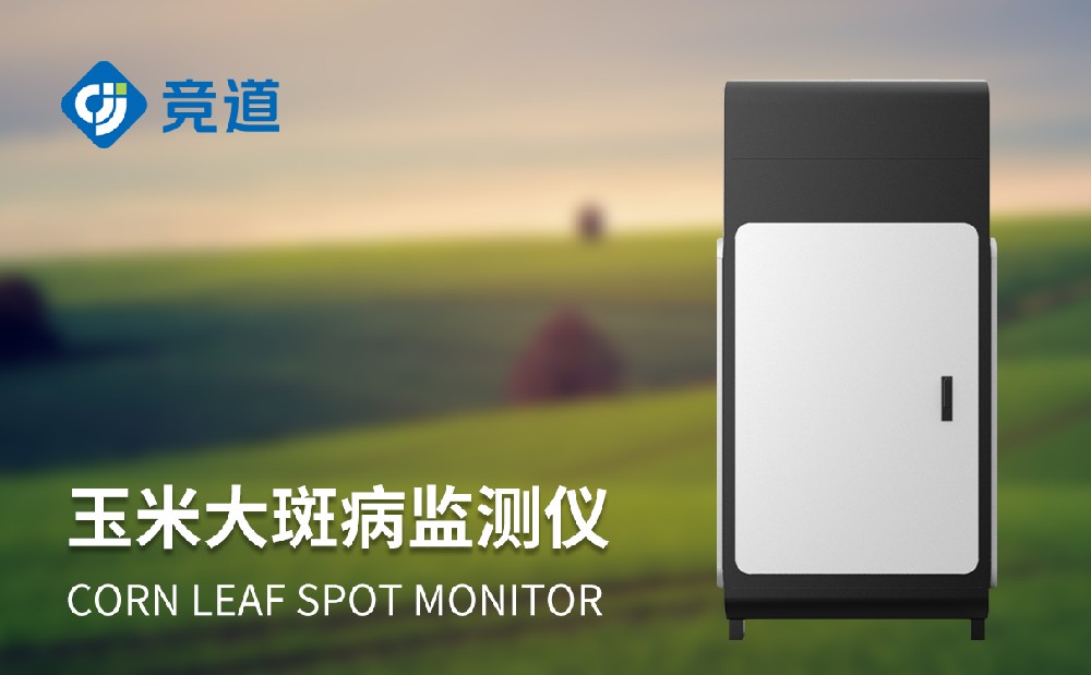 ���״�߲������¼��������״�߲����������������������