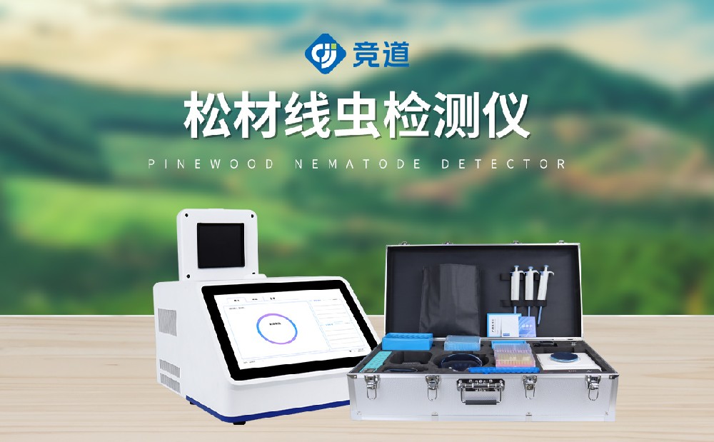 �ɲ��߳������ڴ����ֳ��߲������е�����