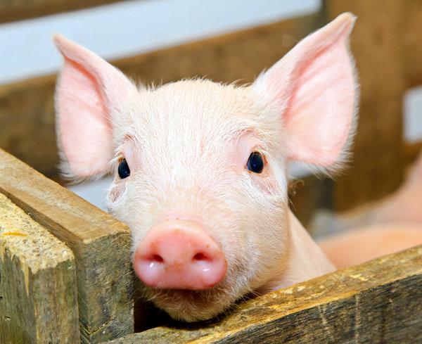 �����������������Щ�ͺ���