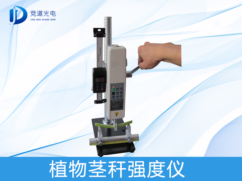 Ϊʲô����ֲ�ﾥ��ǿ����