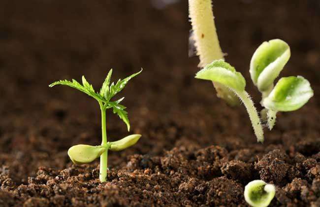 ��Яʽ����Ӫ���ٲ���