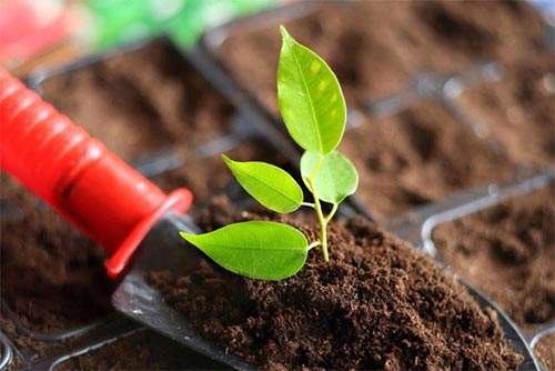 ��Яʽ����Ӫ���ٲ��ǸĽ�����ʩ�ʹ���