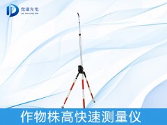 �������������ʲô����������������