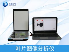 ҶƬͼ�������η�������