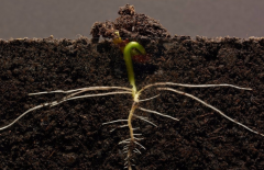 ΪʲôҪ���������л��ʼ����